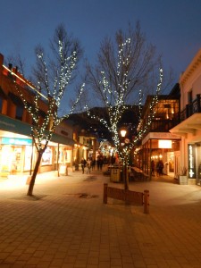 09.Arrowtown - Queenstown-029